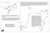 dam07 logwood 1675_thumb.gif